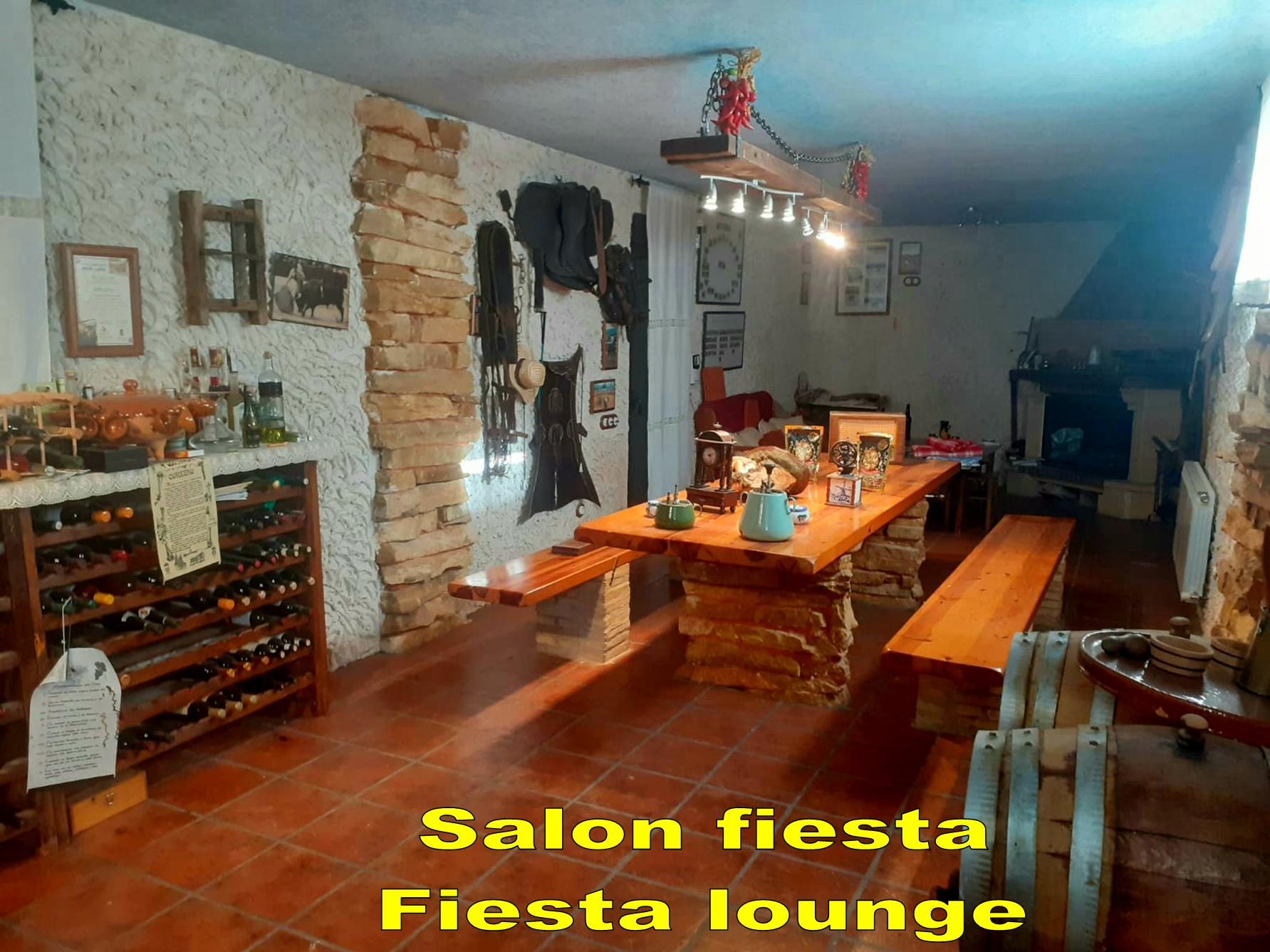 Salon fiesta 4