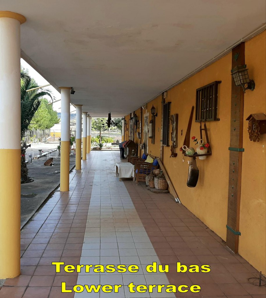 Terrasse du bas 3